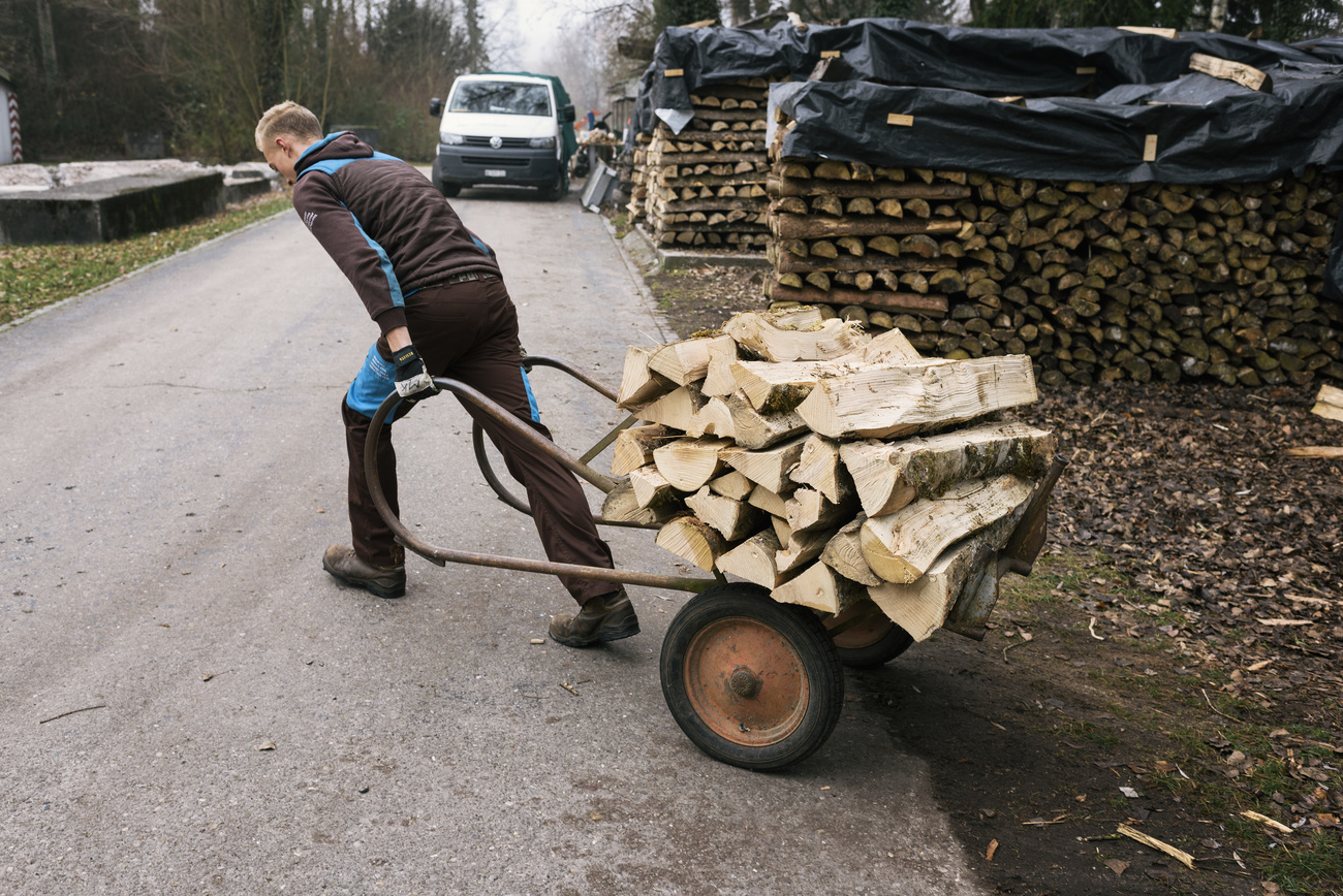 Civil protection service member hauling chopped wood