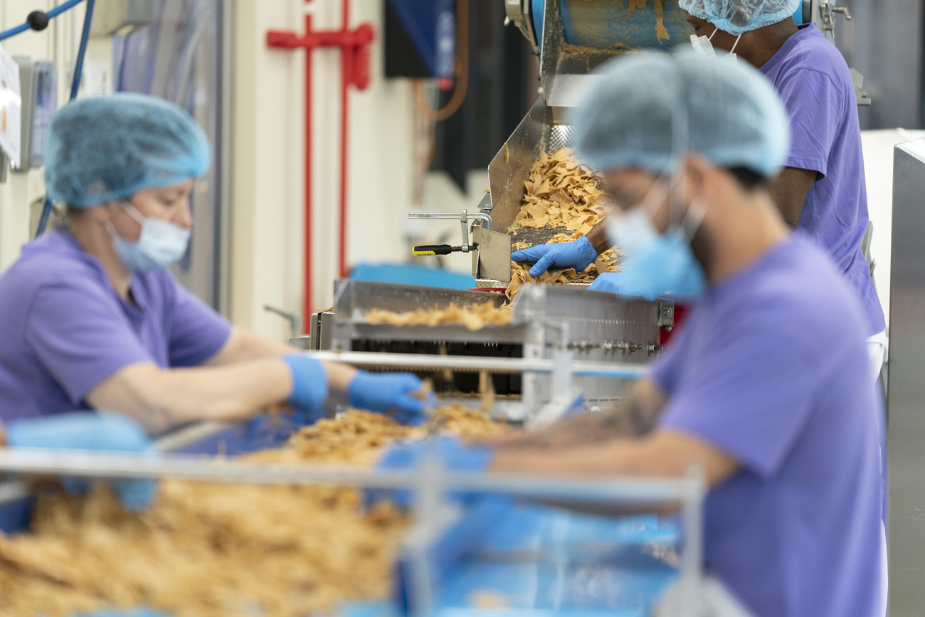 chaîne de production des produits Planted