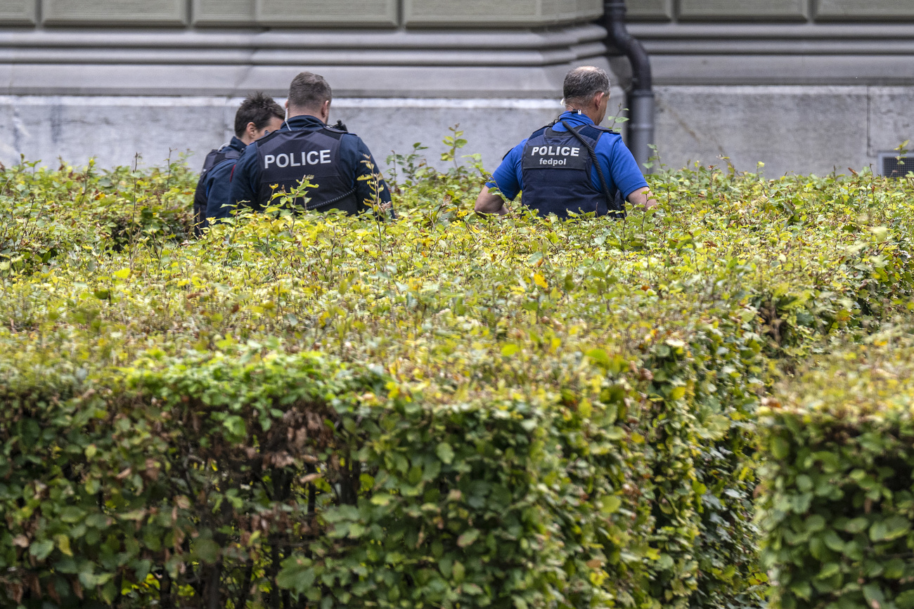 Polizisten suchen einen Gegenstand in einer akkurat geschnittenen Hecke