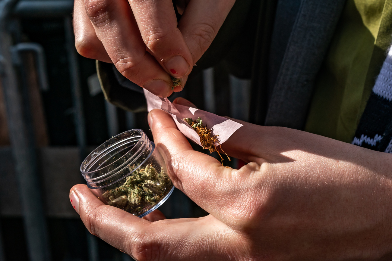 Cannabis en la palma de una mano