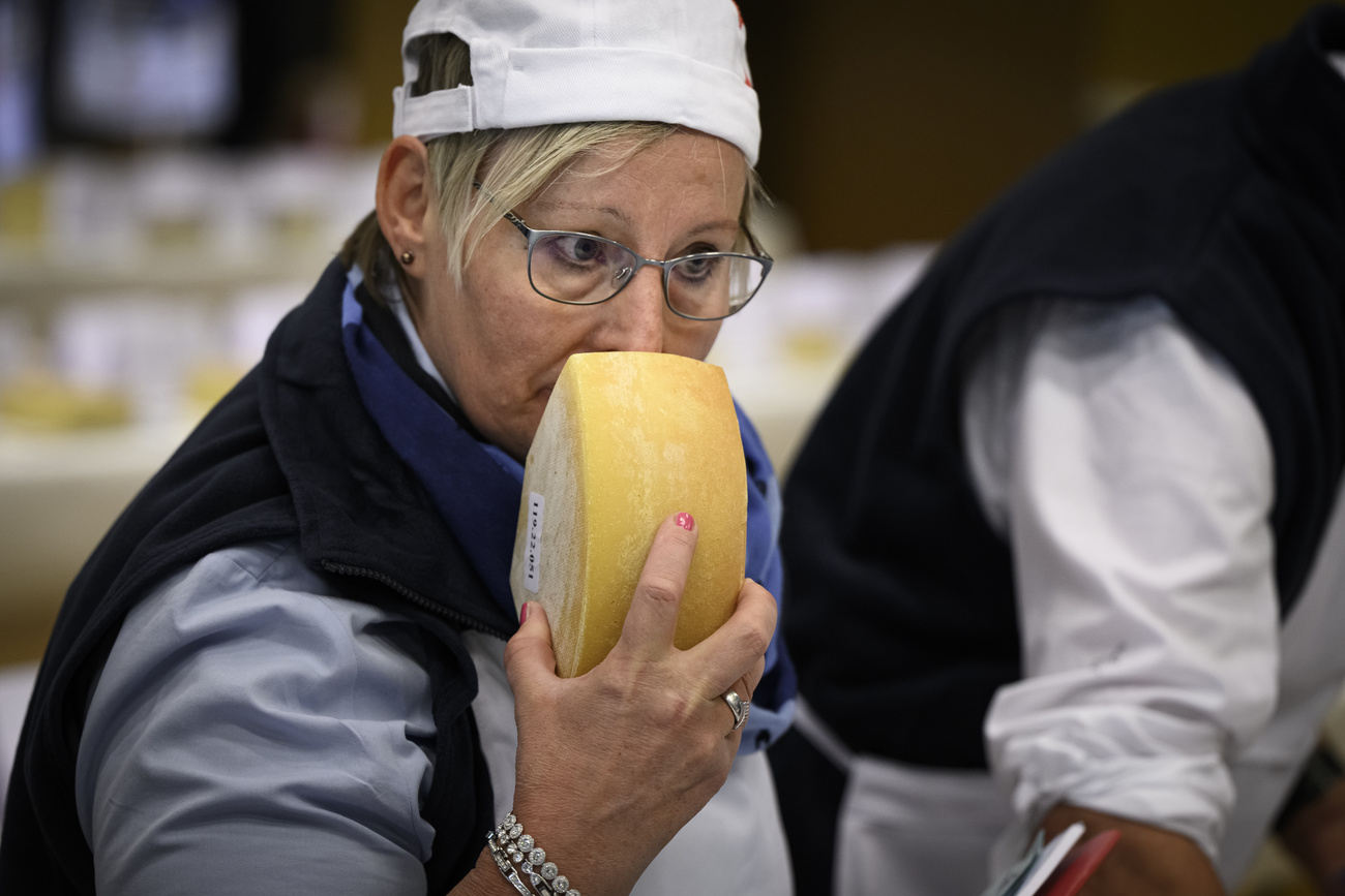 Woman smelling cheese