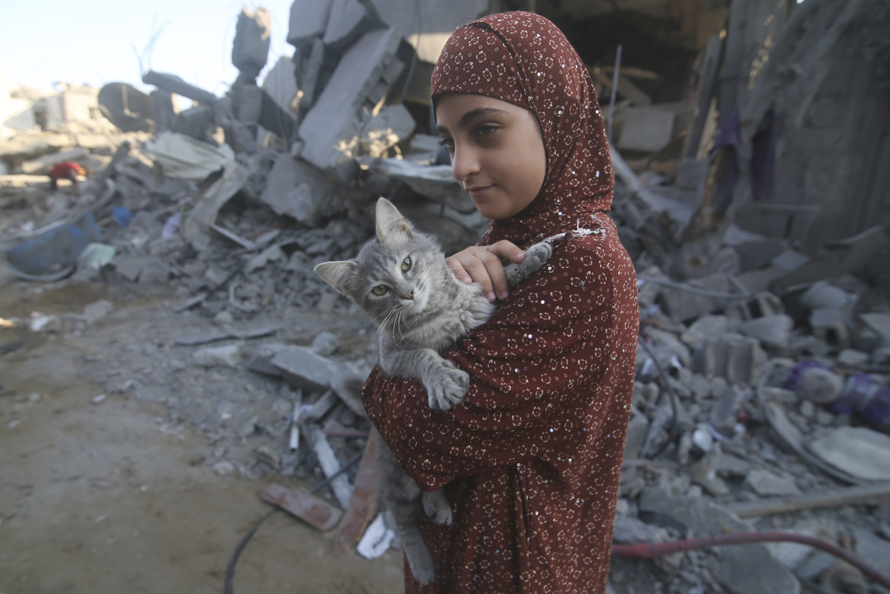 Una bimba palestinese, il suo gatto e le macerie di Rafah, 18 ottobre 2023.