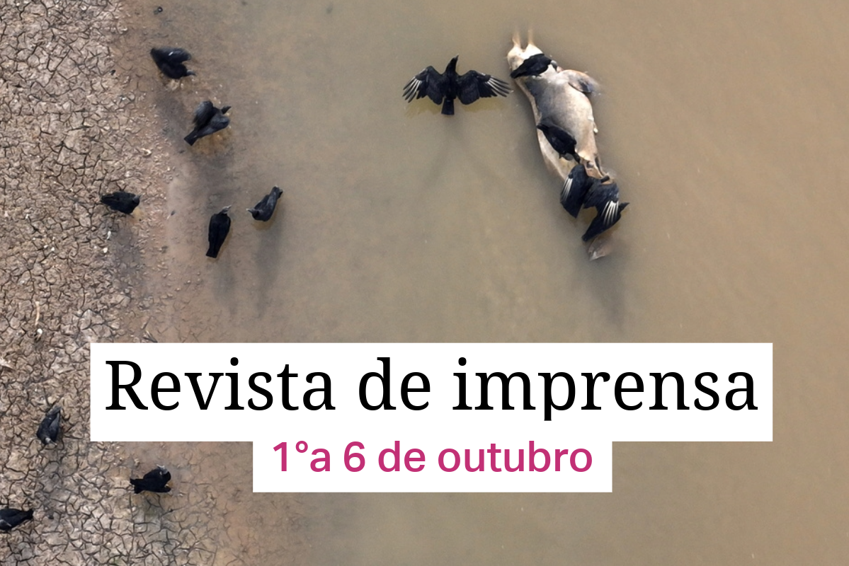 Boto morto na margem de um rio seco