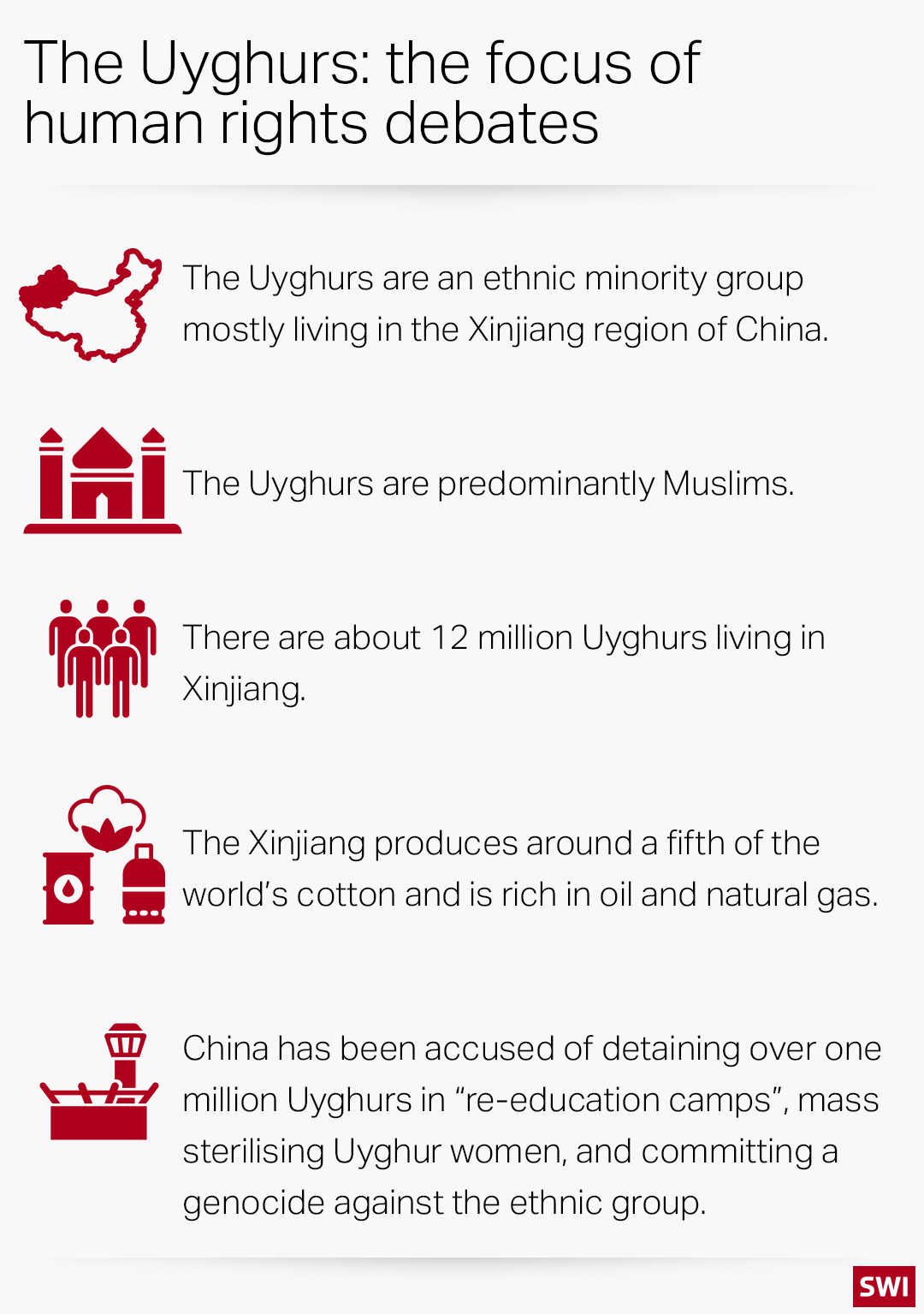 Chart with information about the Uyghurs population