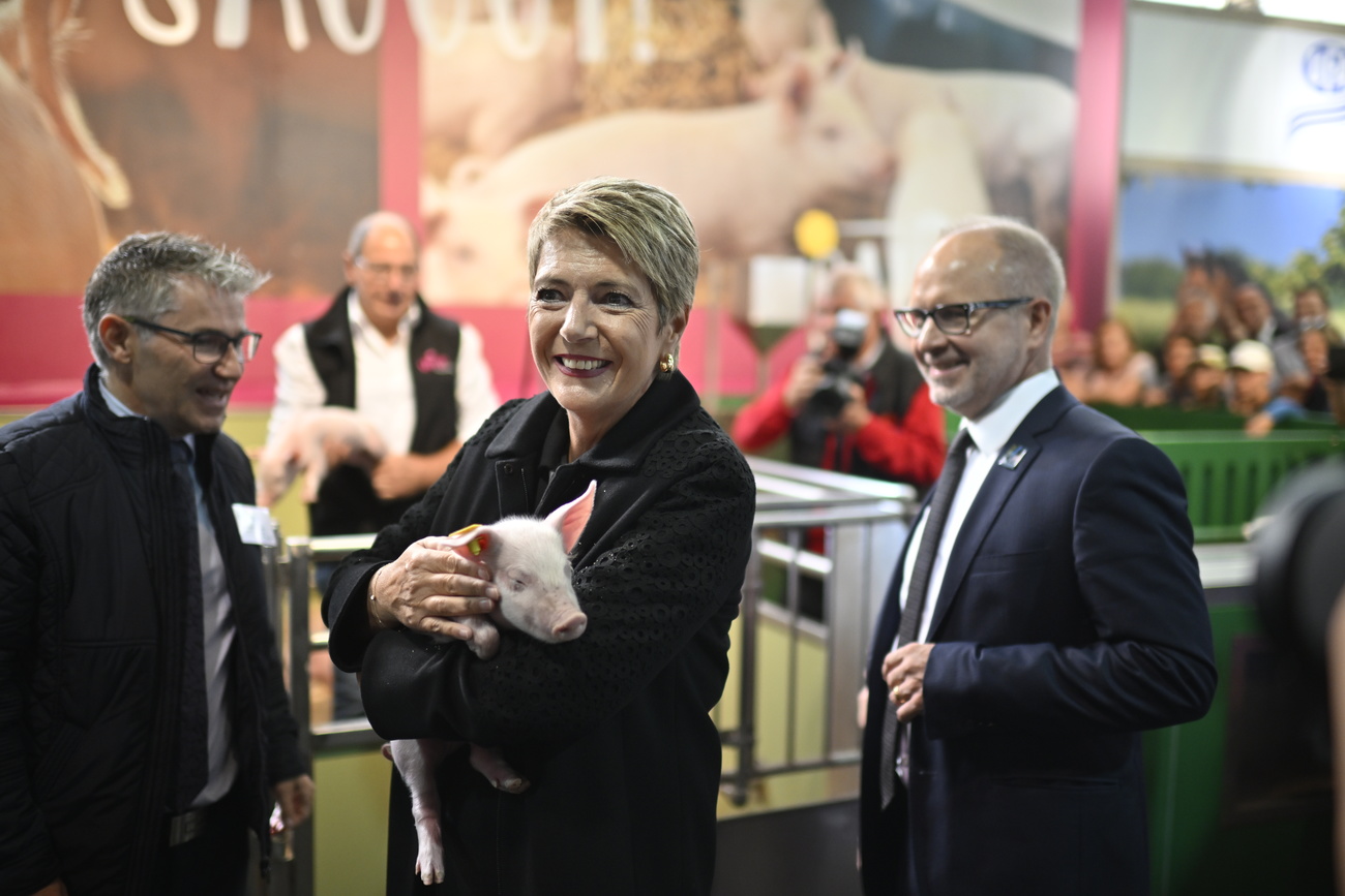 Keller-Sutter with piglet