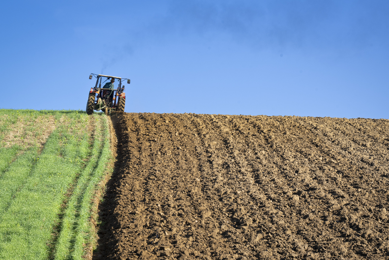 agriculture