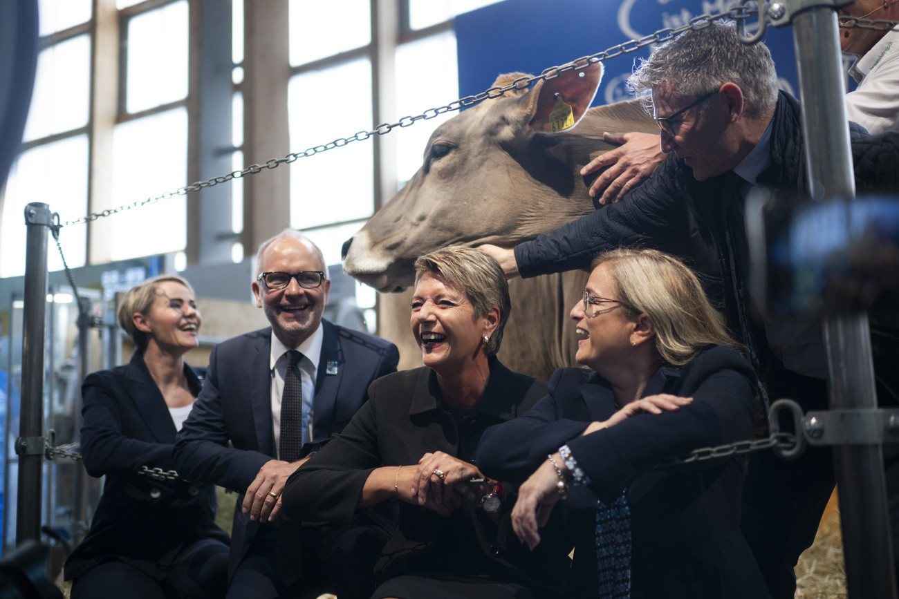La consigliera federale Karin Kelle-Sutter con una mucca.