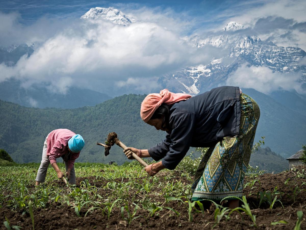 贤良淑德：尼泊尔移民工的妻子努力为丈夫和国家分忧解难- SWI swissinfo.ch