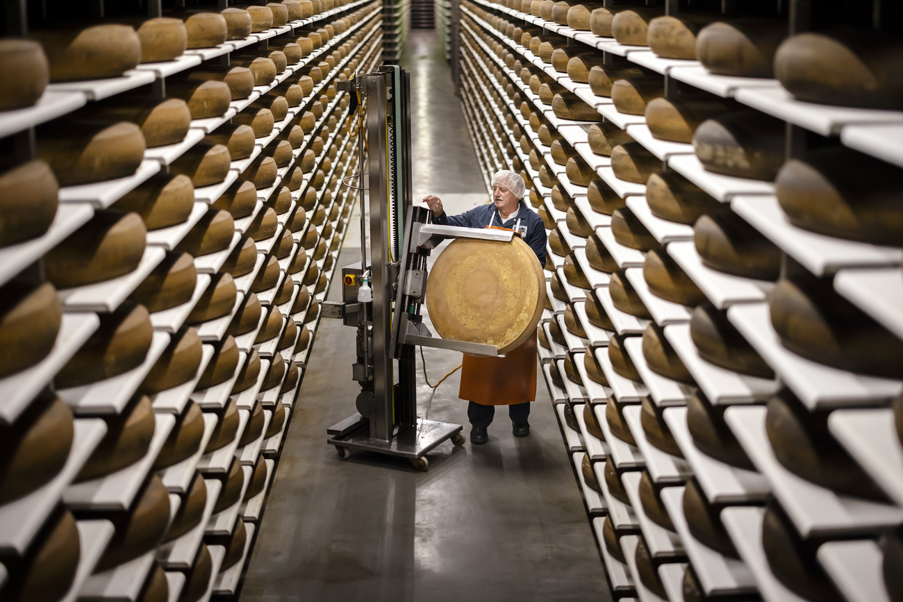 Cheese being stored