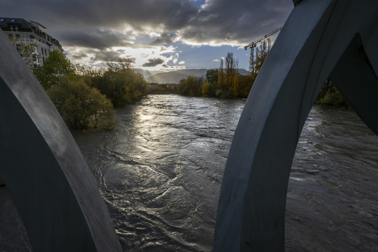 Arve