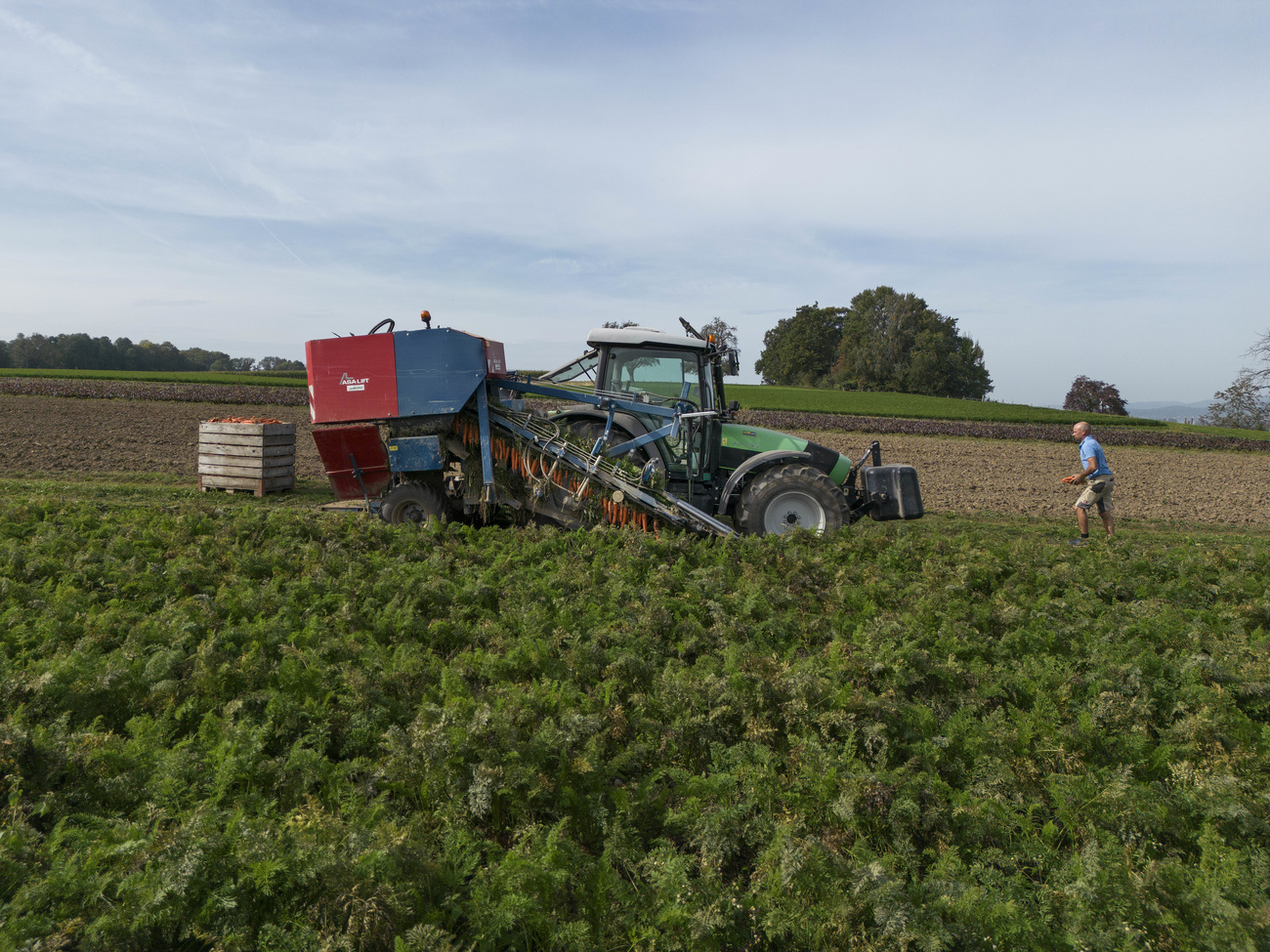 Sono oltre il 7% le donne a capo di aziende agricole