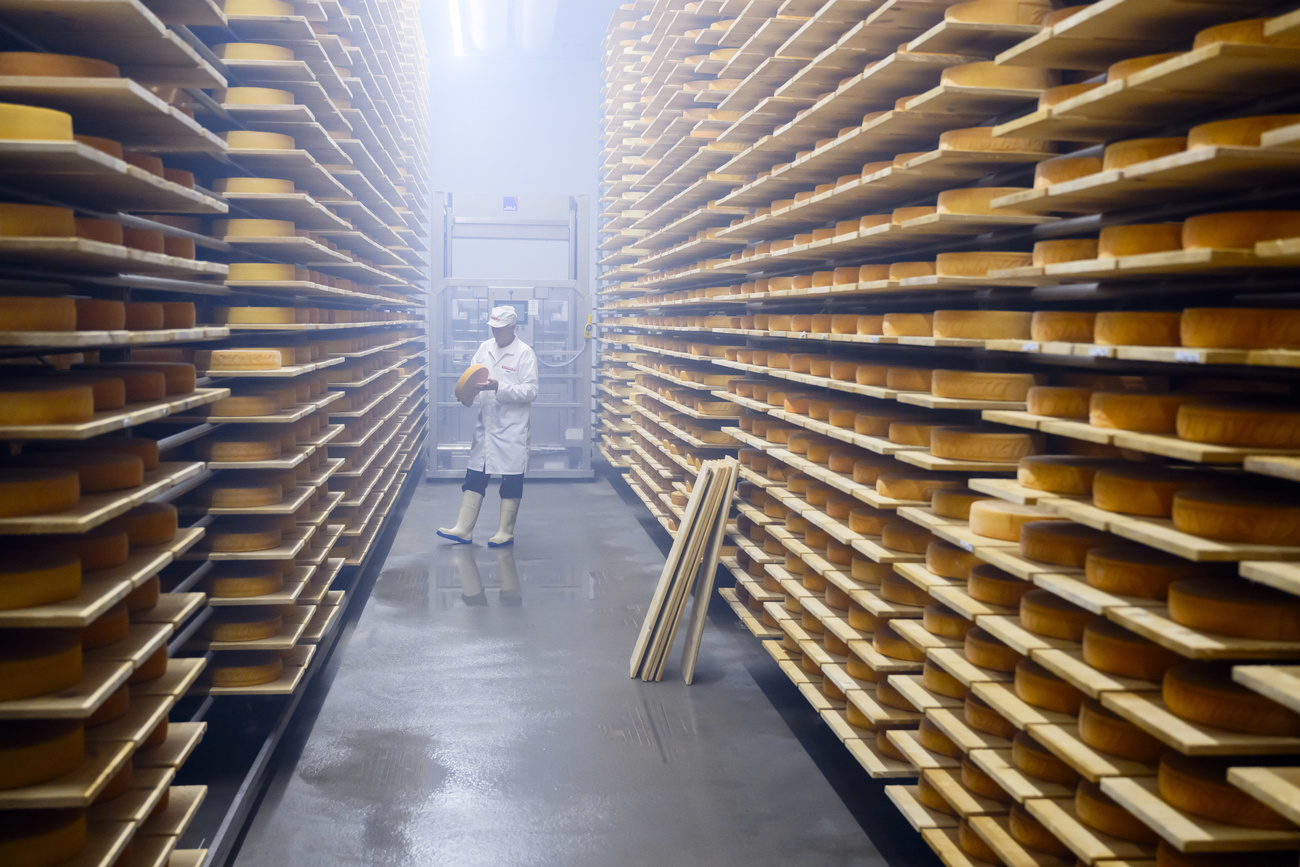 Cave à fromage
