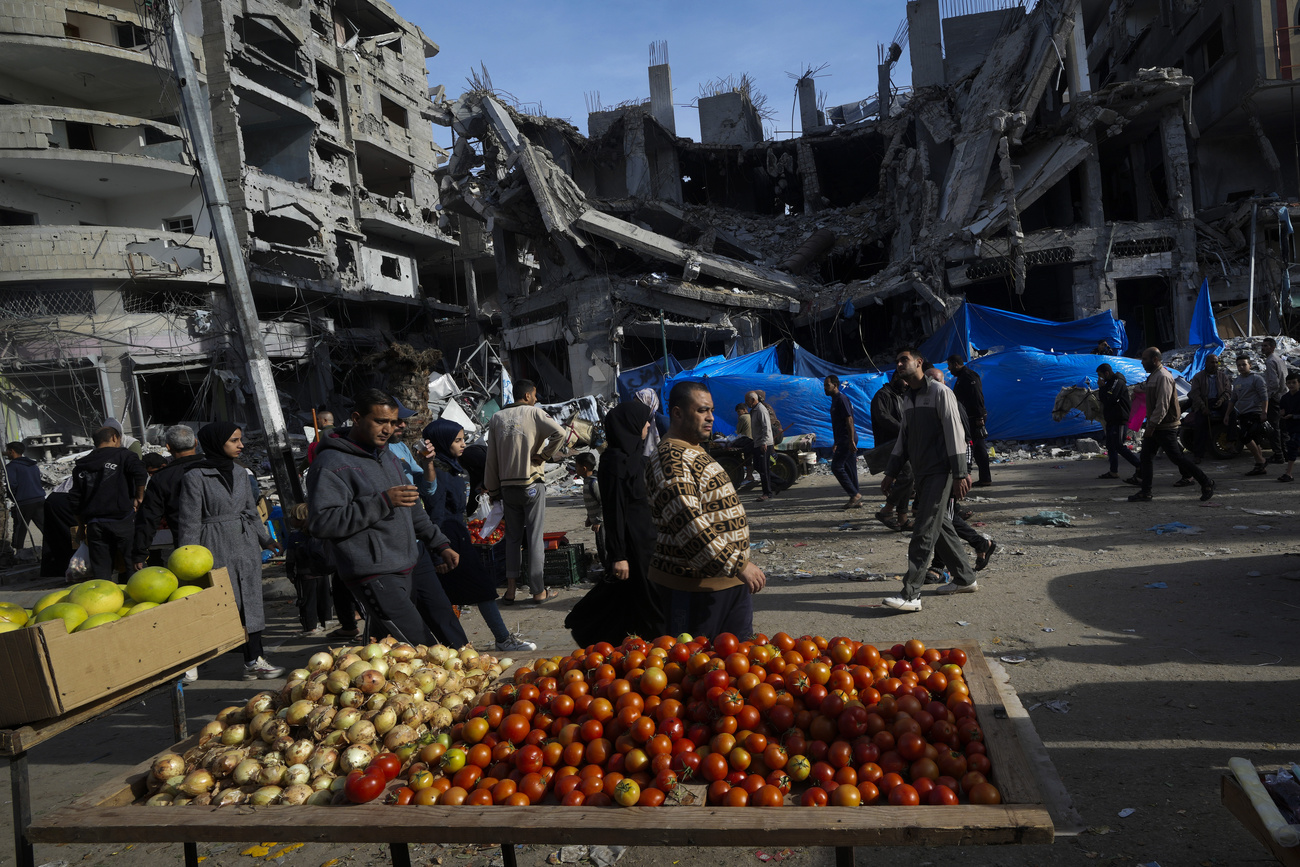 Verdure e macerie a Gaza, il 25 novembre 2023.