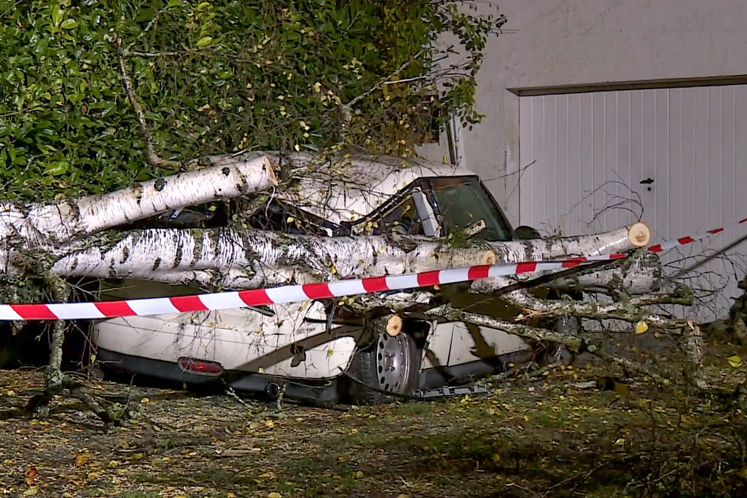 Storm Frederico damaged trees and infrastructure in Switzerland.