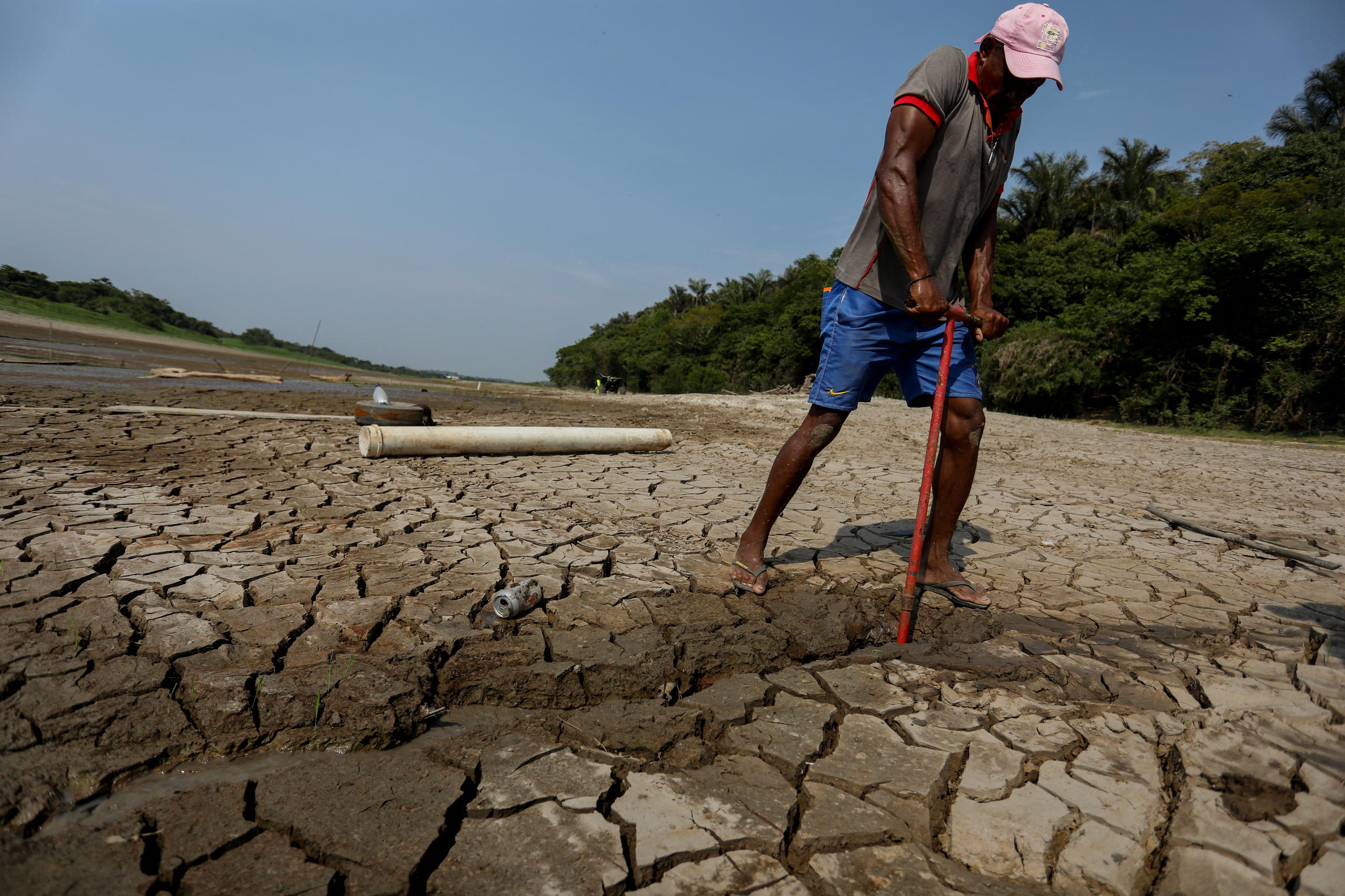 ブラジル北部アマゾナス州マナウスにあるプラケクアラ湖