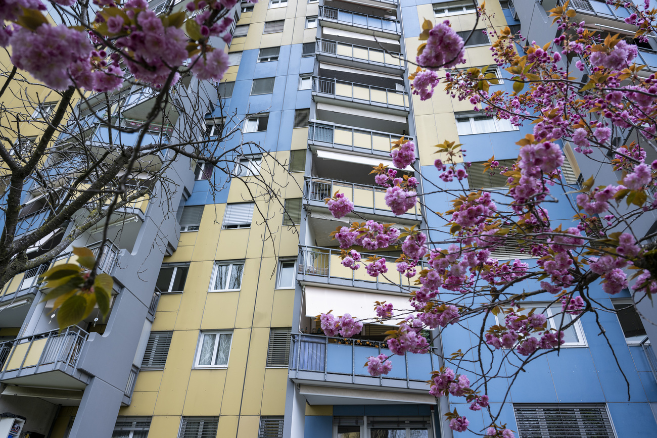 高层建筑和潜在高房租:日内瓦附近的公寓。