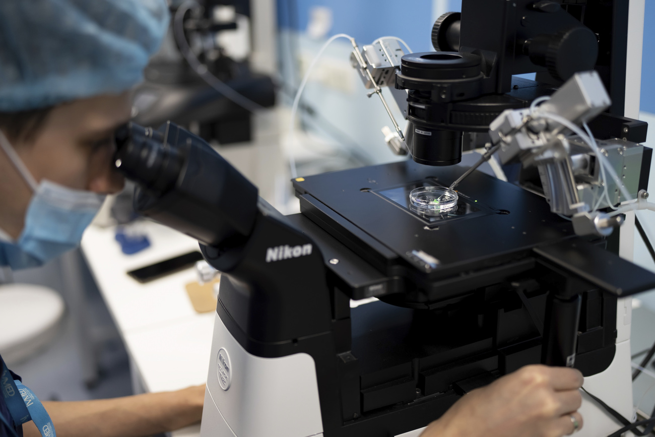 Un docteur spécialiste en fertilité regarde dans un microscope