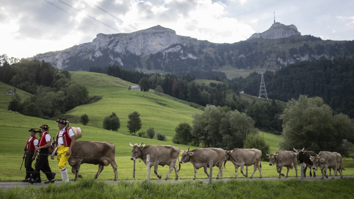 Alpine season named intangible cultural heritage of UNESCO - SWI swissinfo.ch