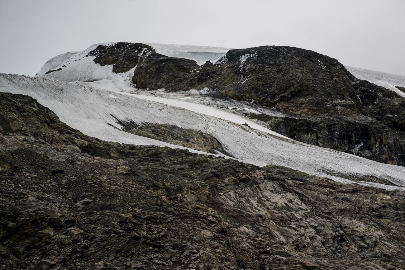 Eine weisse Piste inmitten grüner Berglandschaft