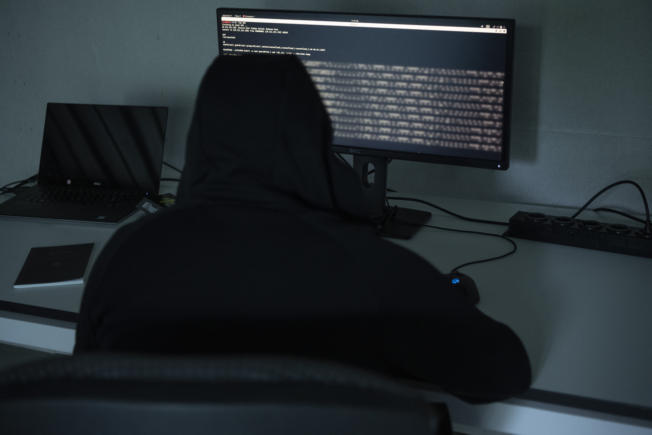 Hooded person using computer