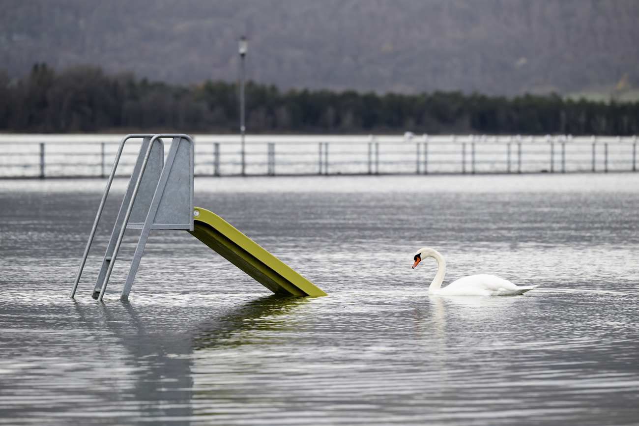 Inondation lac de Bienne