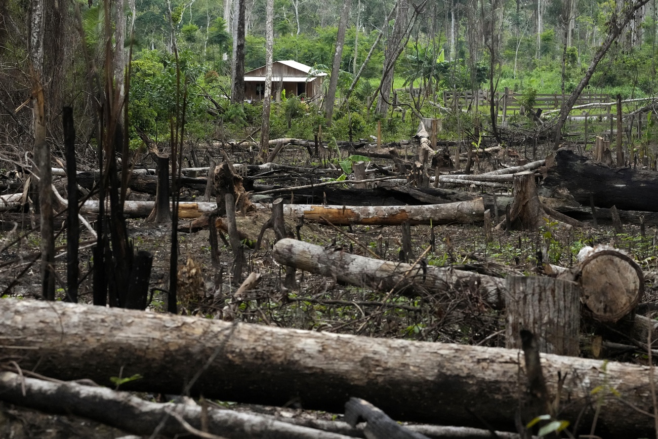 Trees lie in a deforested area in front of a house in Acre state, Brazil.