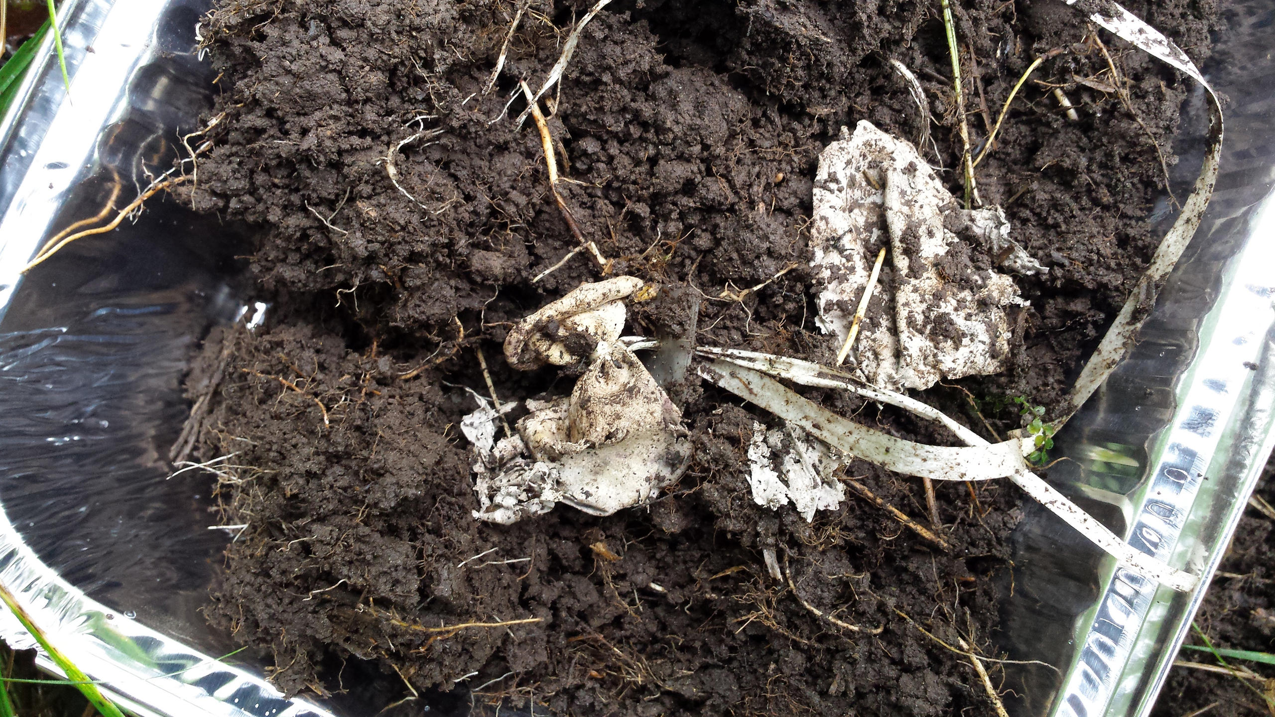 Remains of a balloon in alluvial soil in canton Vaud. 