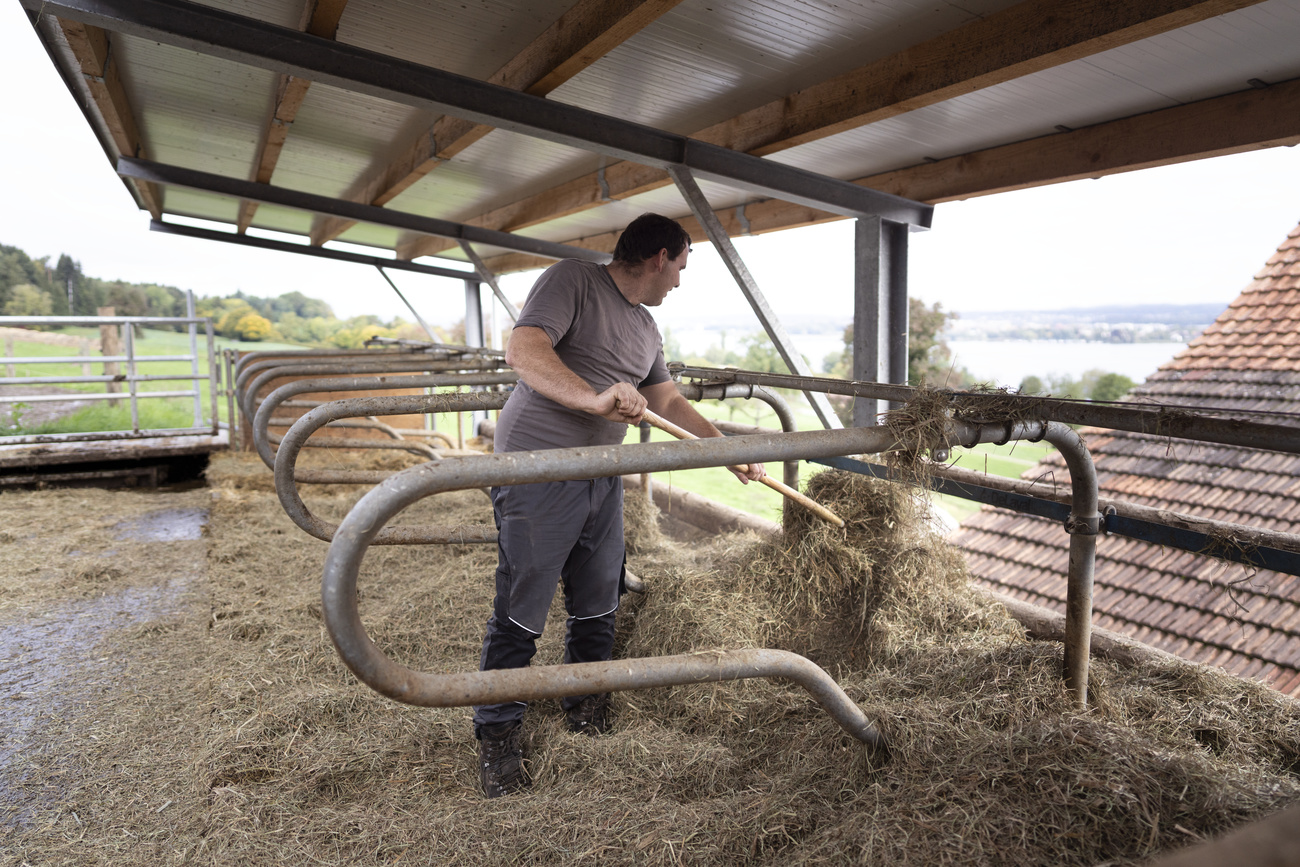 Farmer cleaning the stalls