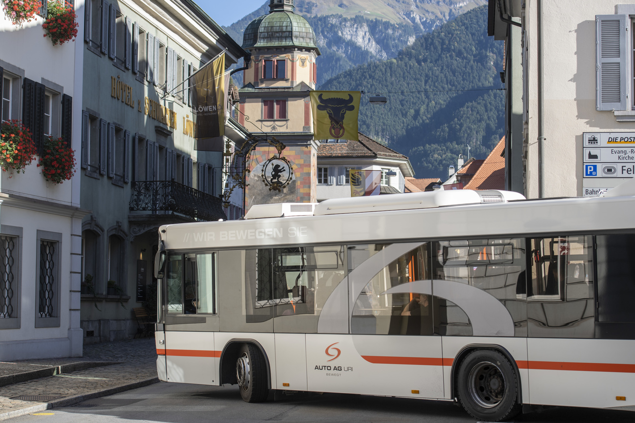 bus