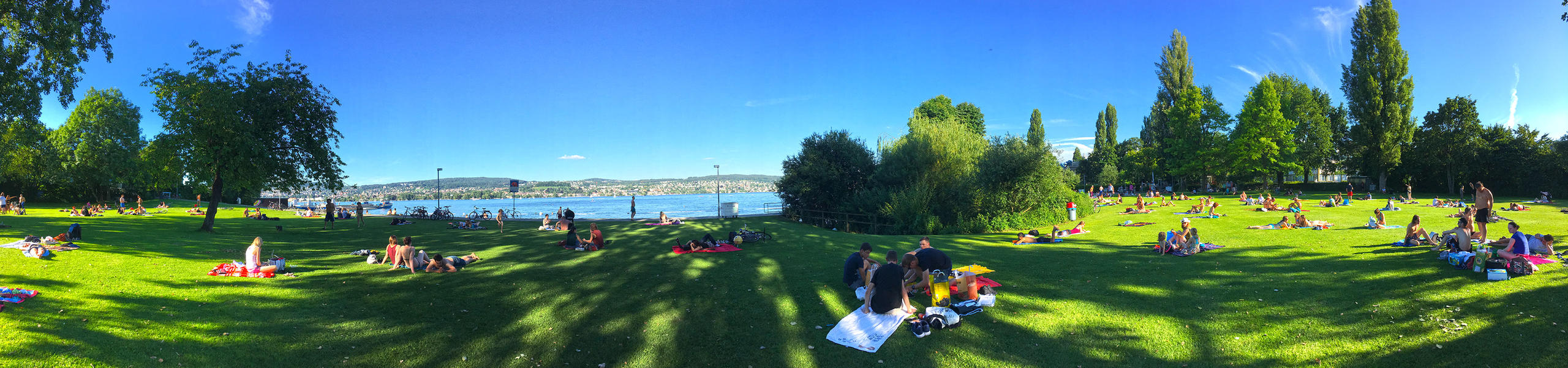 最美绿地。摄于苏黎世湖的南岸