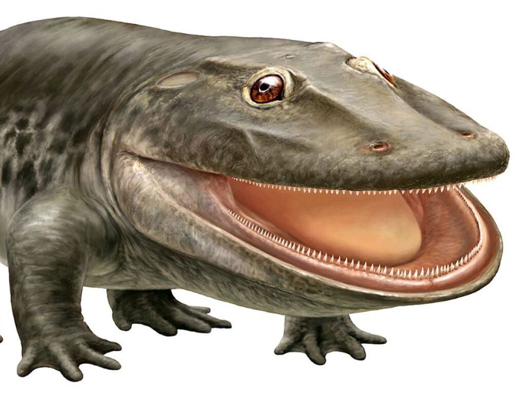 Forscher freuen sich über um UrsaurierBild SWI