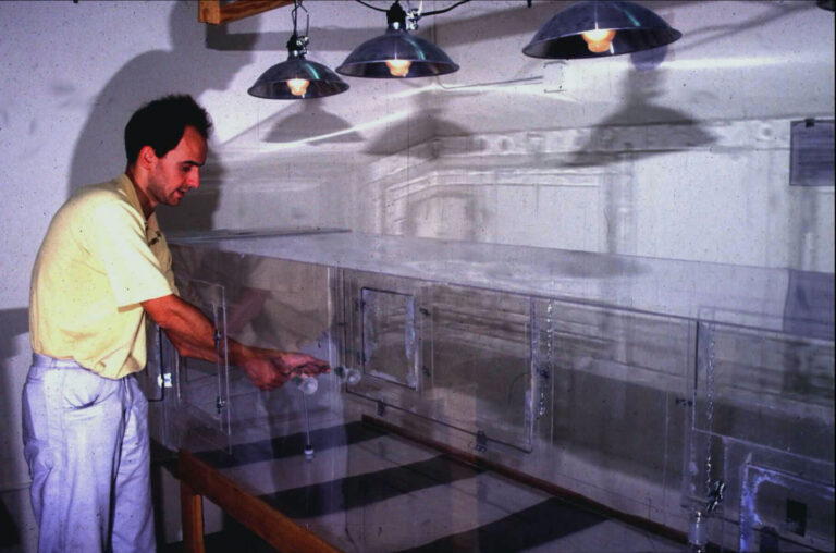 Ted Turlings dans son laboratoire de Floride dans les années 1990.