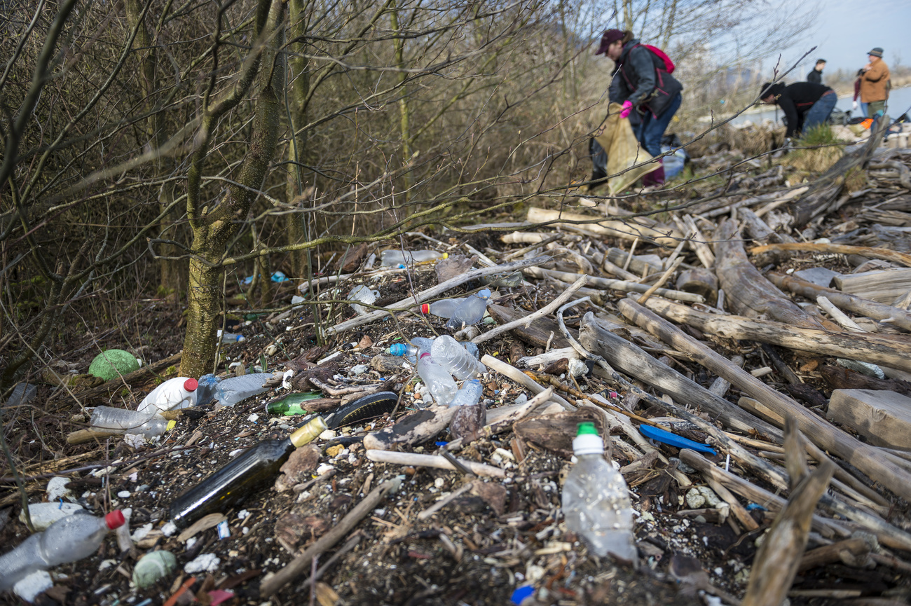Des bouteilles en plastique sur les rives du lac Léman