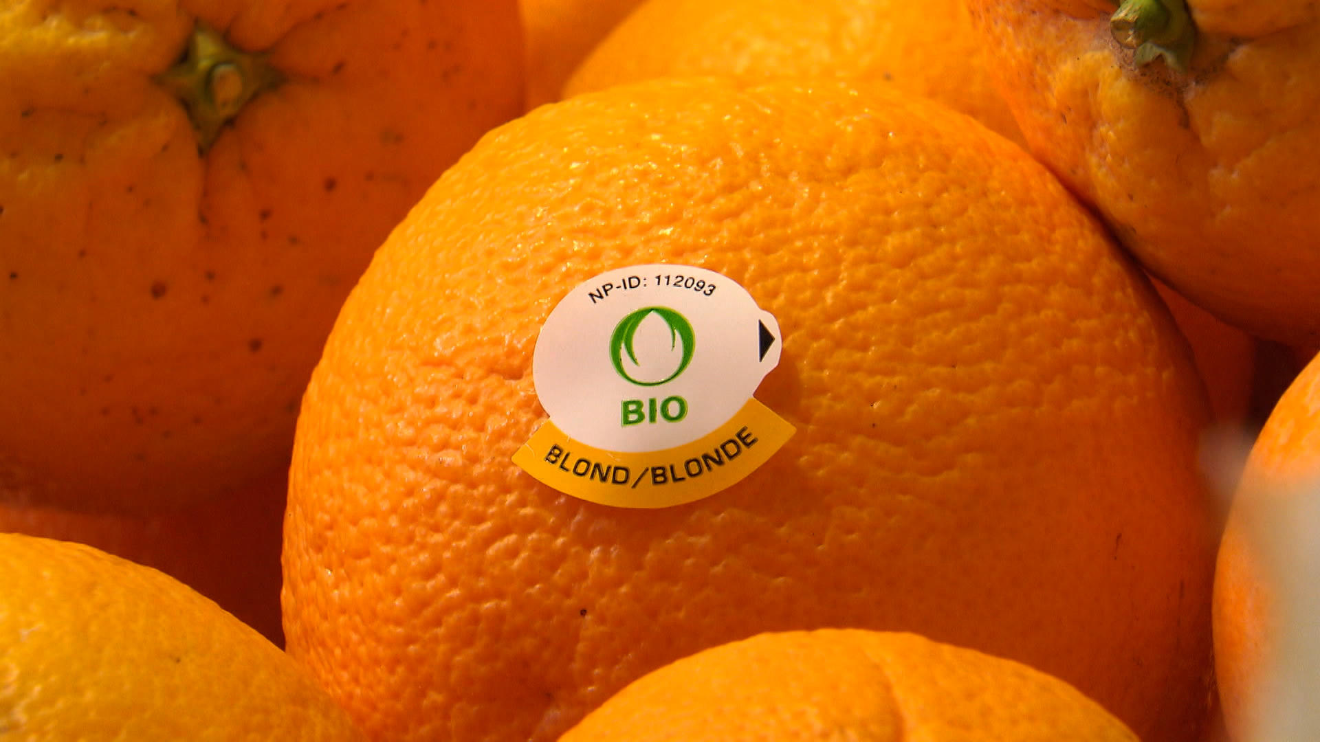 An orange