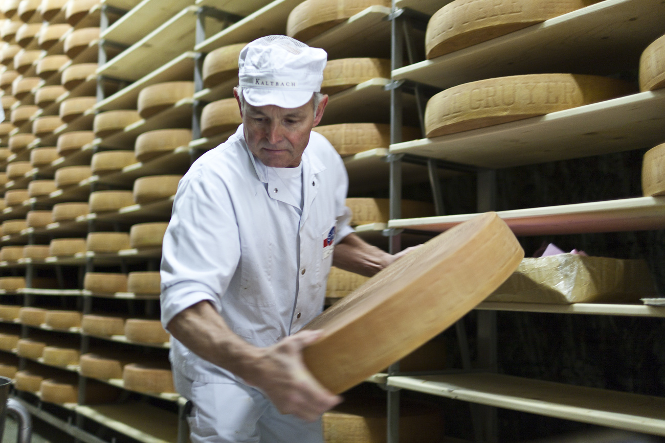 A cheese maker carries a large wheel of cheese