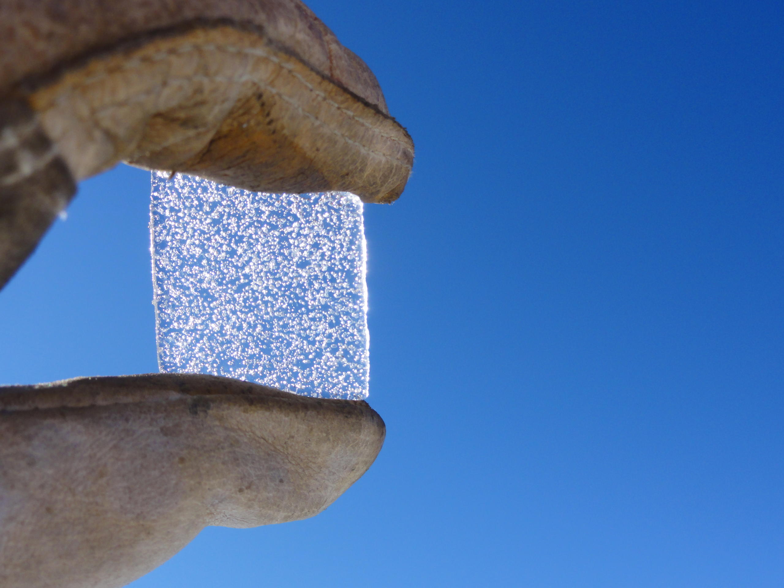 A gloved hand holds up cube of Antarctic ice with air bubbles in it