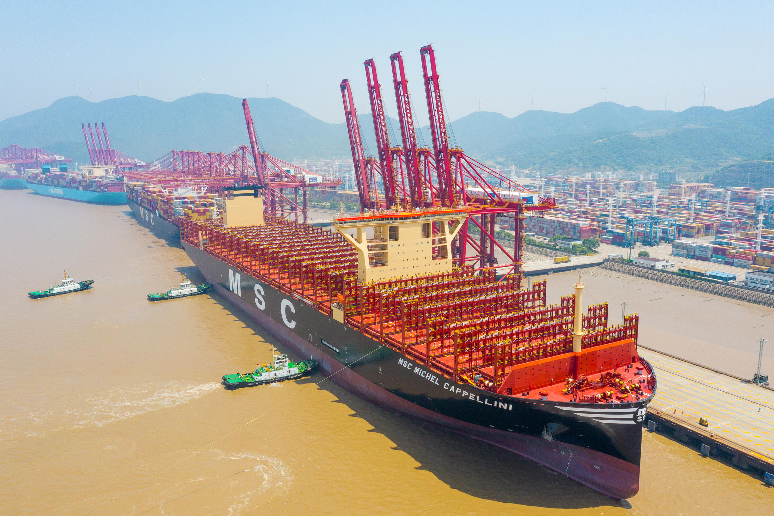 Die MSC Cappellini an einem Hafen