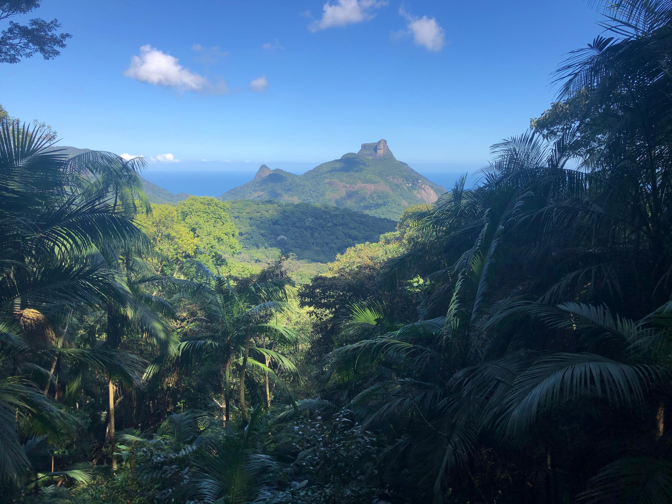 Montagne de pedra da gávea, Rio