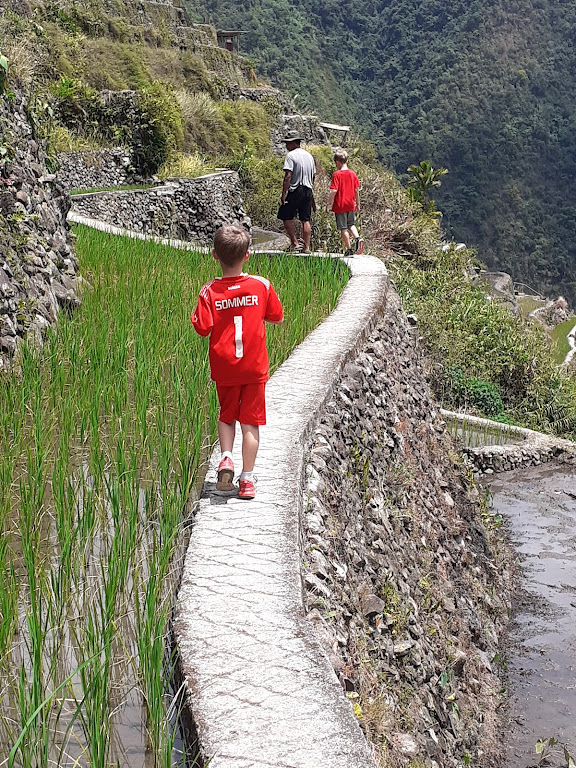Walk in the rice terraces