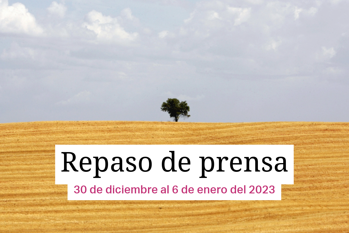Árbol solitario en una España rural despoblada