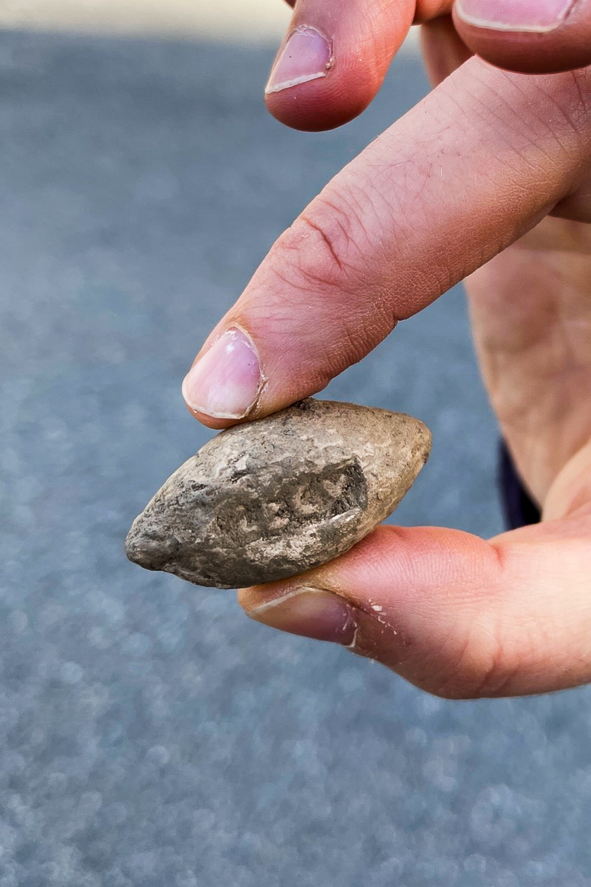 スイスの戦場跡地で発見されたローマ第10軍団の鉛製投石弾