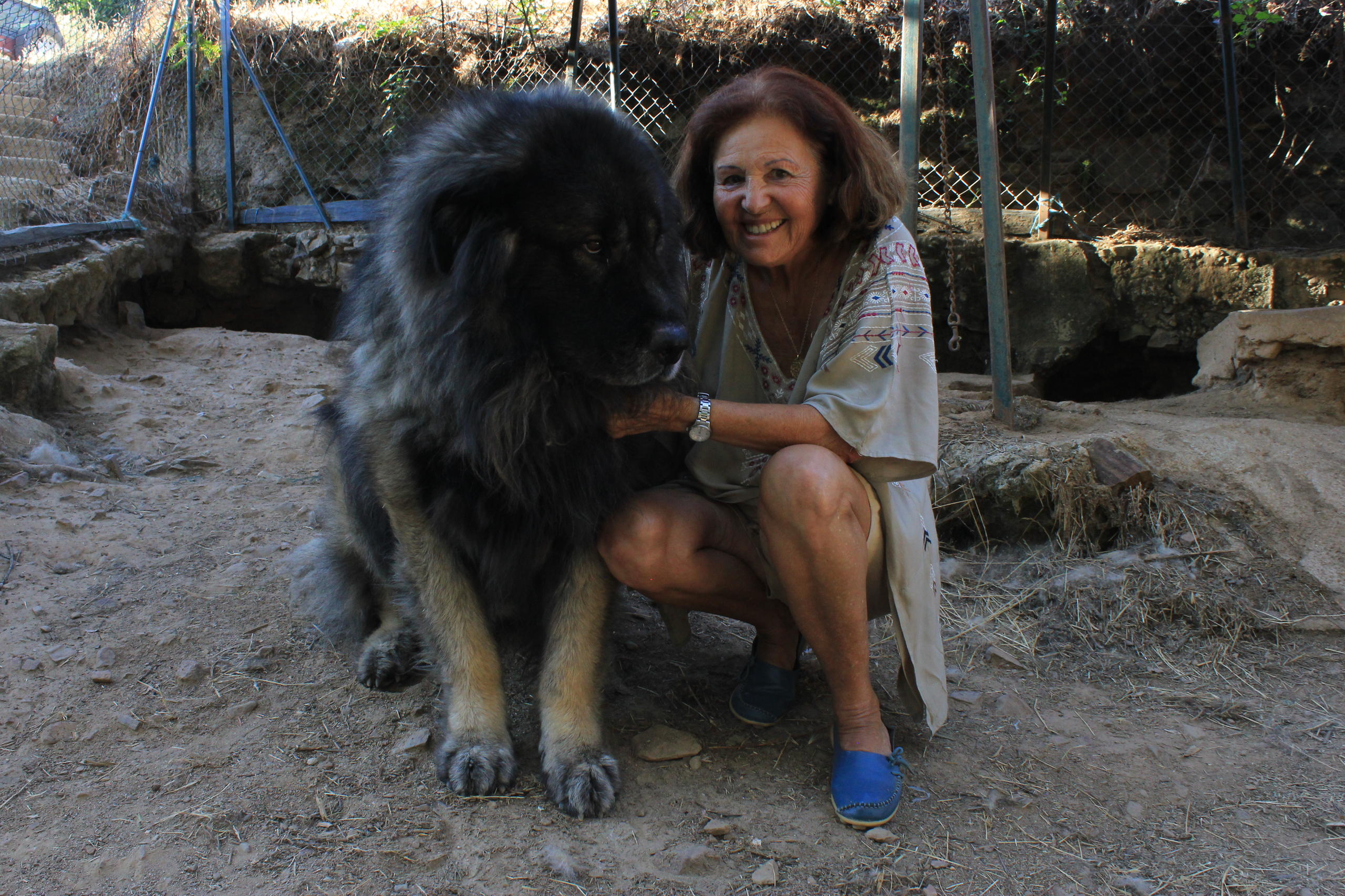 Mulher posando ao lado de um cachorro