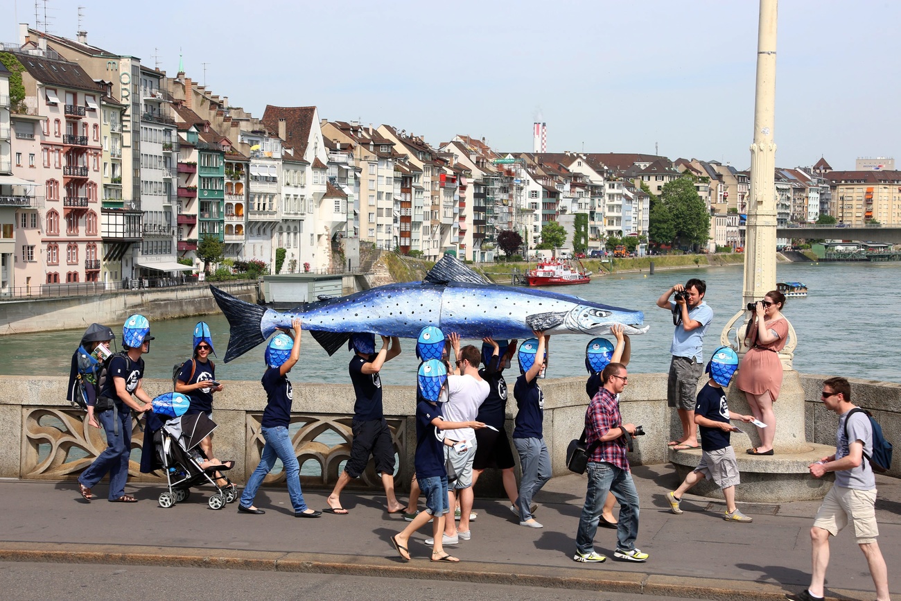 Fish demonstration in Basel