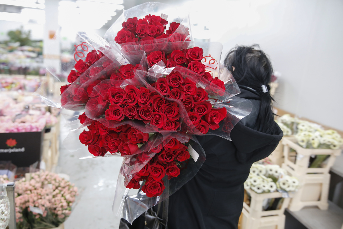 ein riesiger Bund Rosen