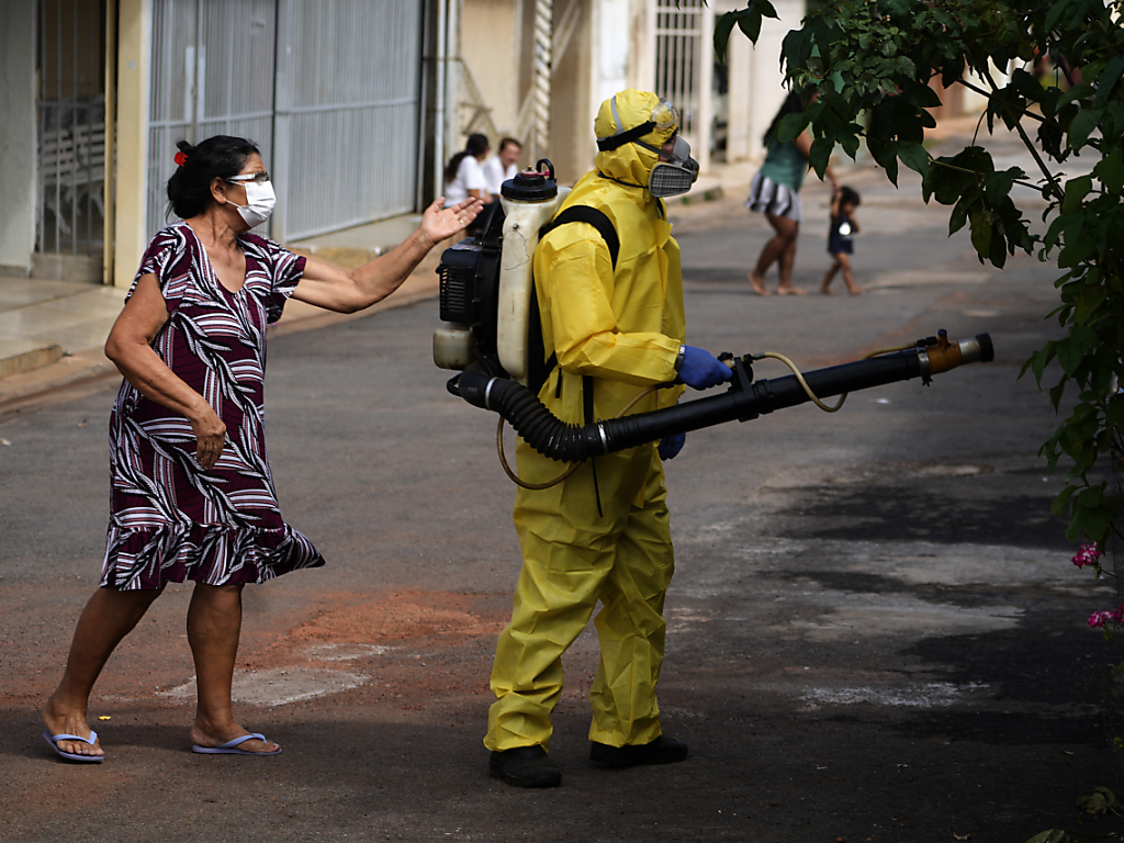 Rio de Janeiro decreta lo stato di emergenza per epidemia dengue - SWI ...