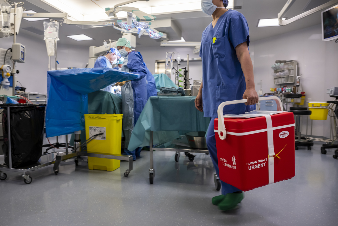 persona in sala operatoria trasporta ghiacciaia contenente un organo
