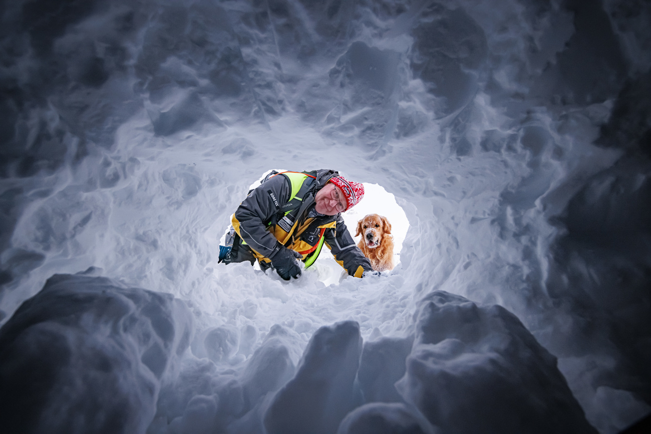 Avalanche rescuer and dog