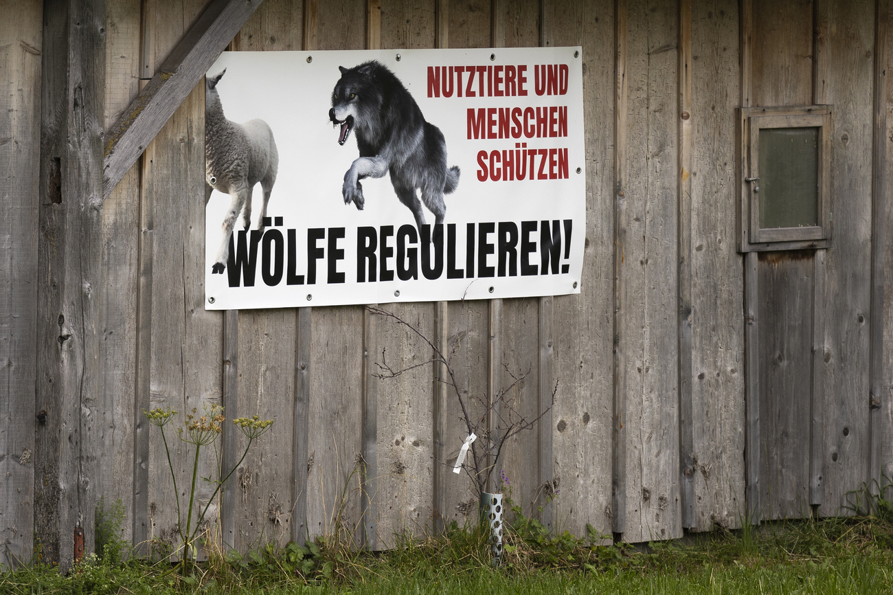 Wolf poster on Swiss farm.