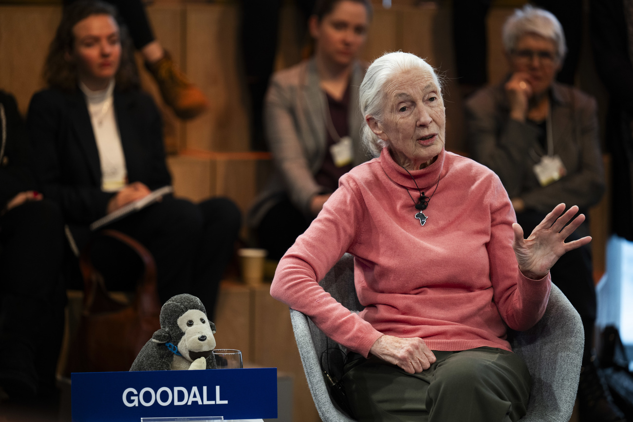 Jane Goodall at WEF