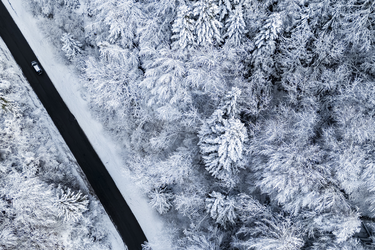 Car travelling through the Cofrene forest in canton Vaud, Switzerland